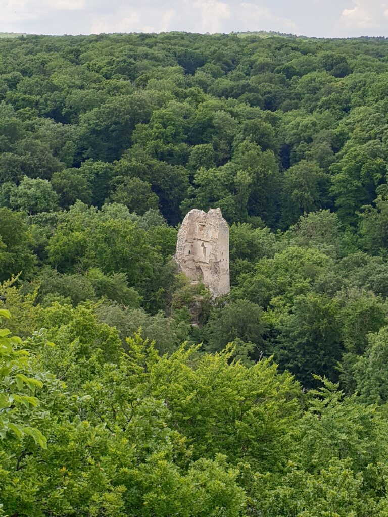 Pusztapalota Castle Ruins, Várpalota: Remains of Medieval Bátorkő