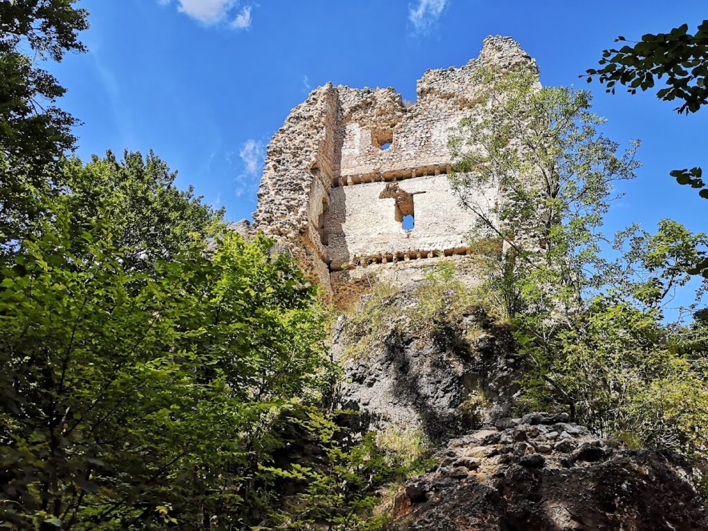 Pusztapalota-várrom, Várpalota