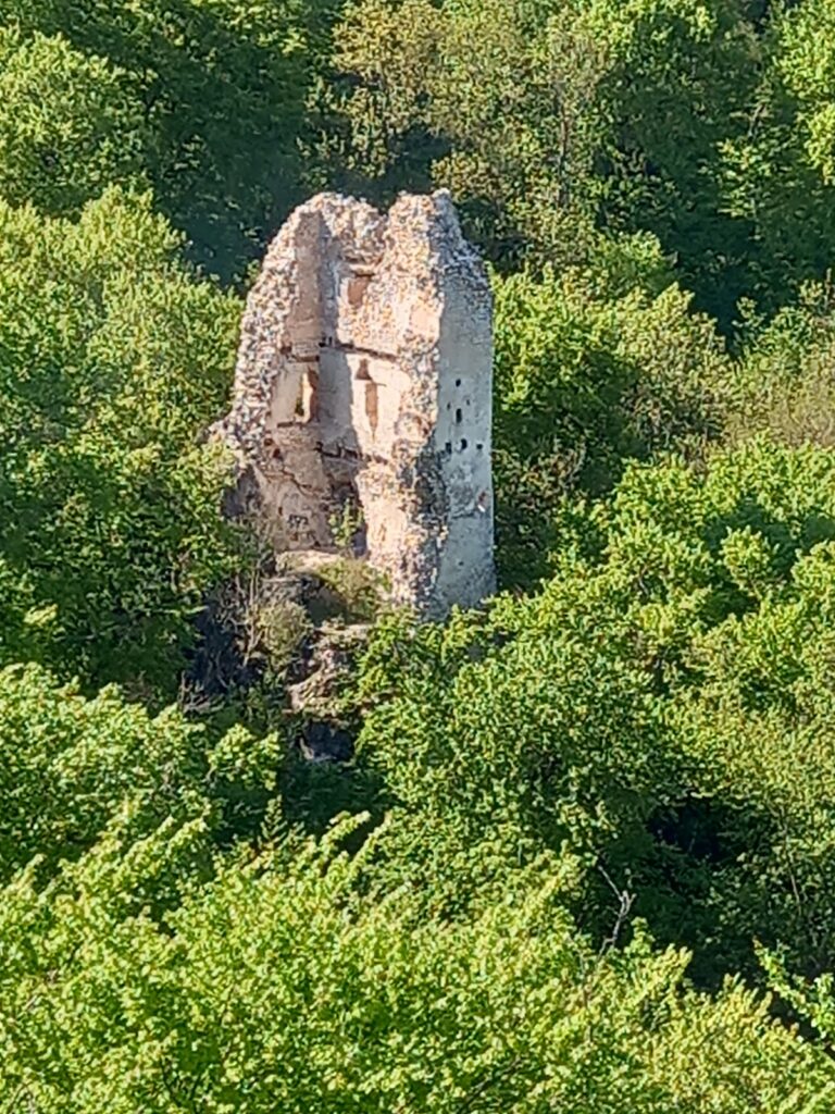 Pusztapalota-várrom, Várpalota