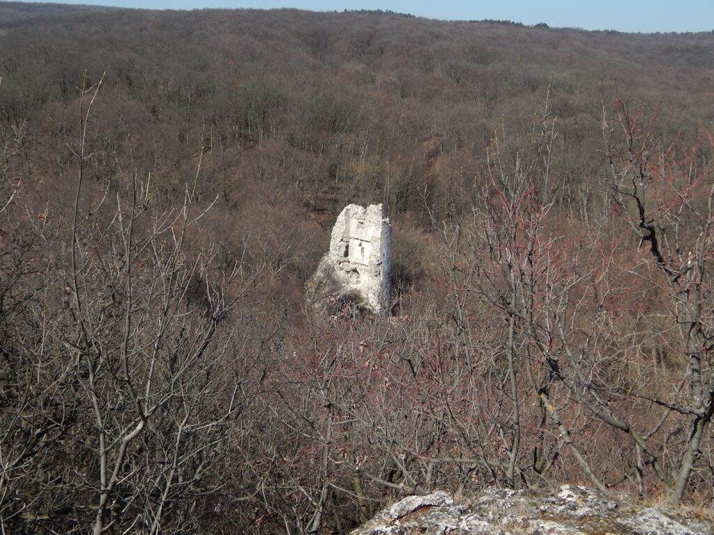 Pusztapalota-várrom, Várpalota