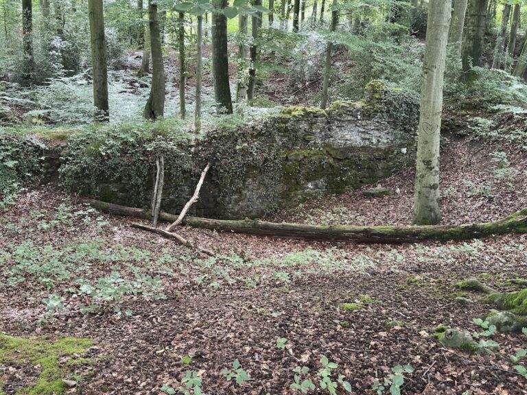 Motte Zoppesmur: An Early Medieval Lowland Castle in Germany