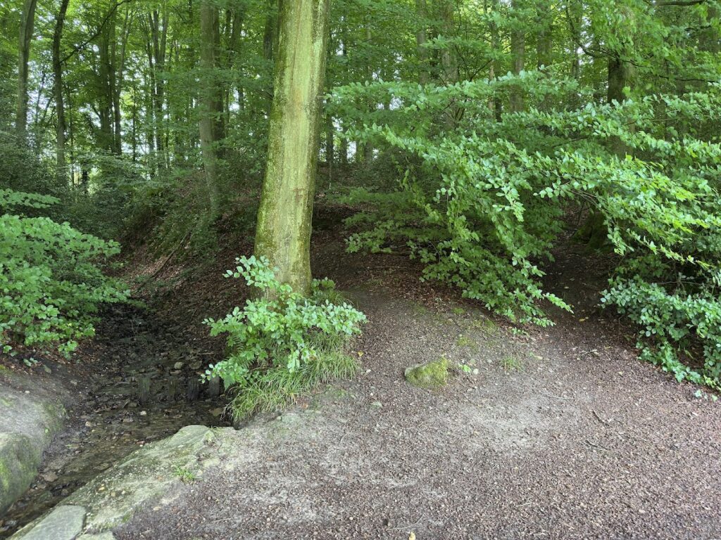 Motte Zoppesmur: An Early Medieval Lowland Castle in Germany 2 Motte Zoppesmur