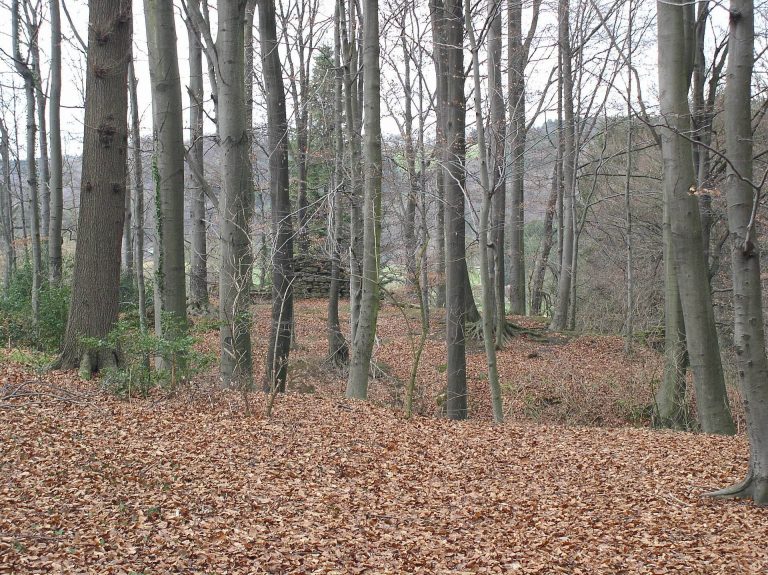 Motte Zoppesmur: An Early Medieval Lowland Castle in Germany
