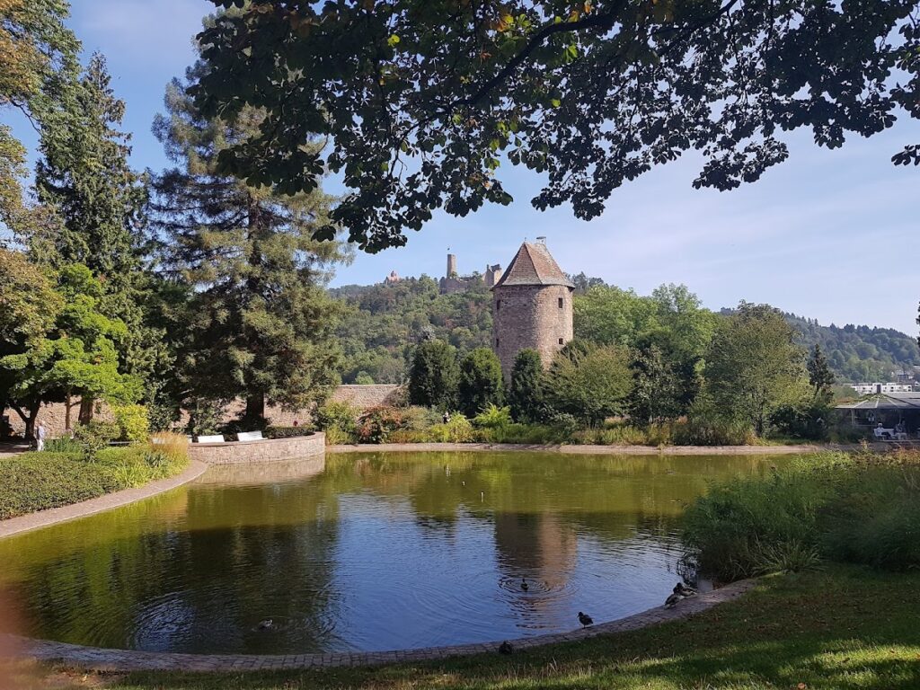 Schloss Weinheim: Former Electoral Palatinate Castle and Municipal Offices 4 Schloss Weinheim