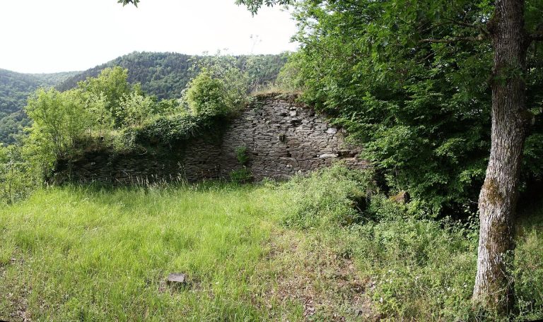Kammerburg: A Medieval Spur Castle Ruin in Germany