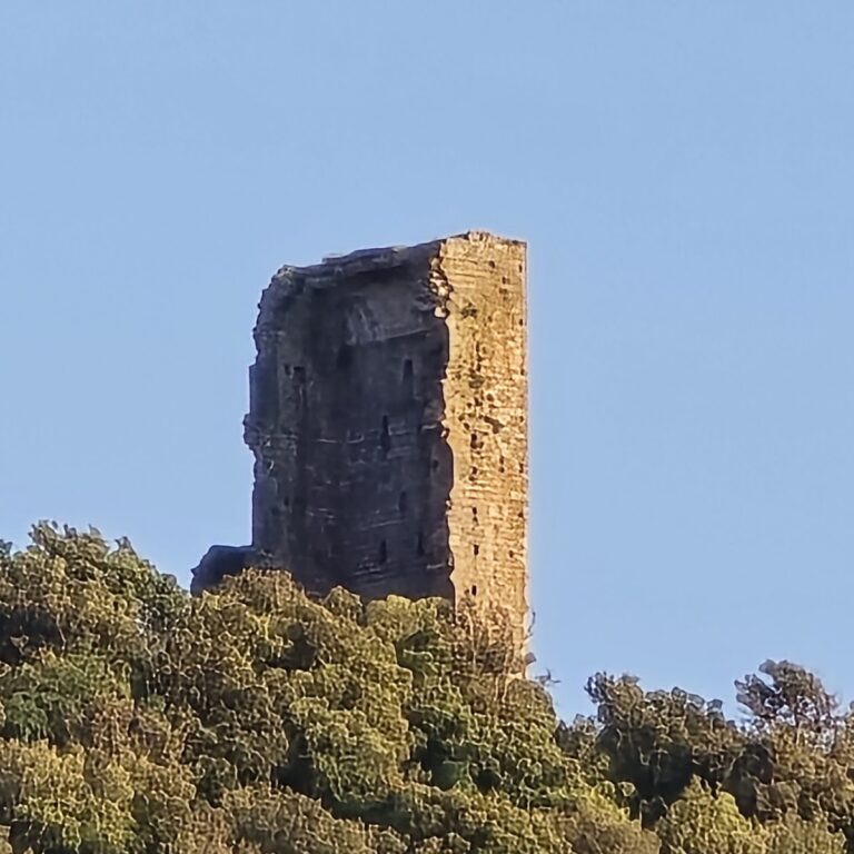 Castle of Donoratico: A Medieval Fortress in Italy