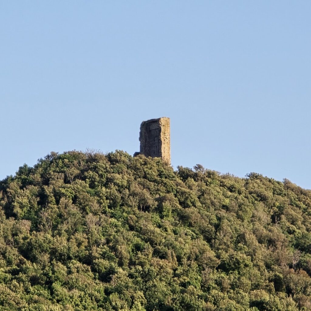 Castle of Donoratico: A Medieval Fortress in Italy 2 Castle of Donoratico