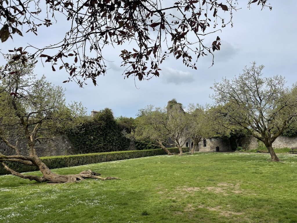 Bishop's Palace: The Medieval Residence of the Bishops of Llandaff 4 Bishop's Palace