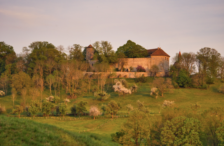 Tannenburg: A Medieval Spur Castle in Germany