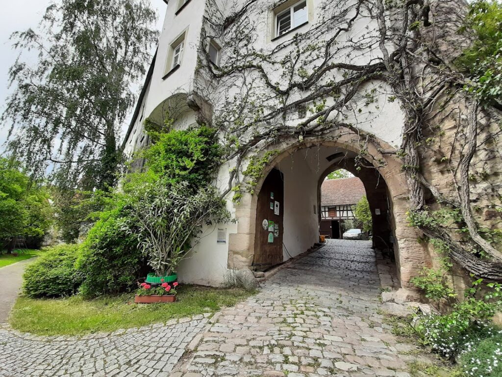 Tannenburg: A Medieval Spur Castle in Germany 5 Tannenburg