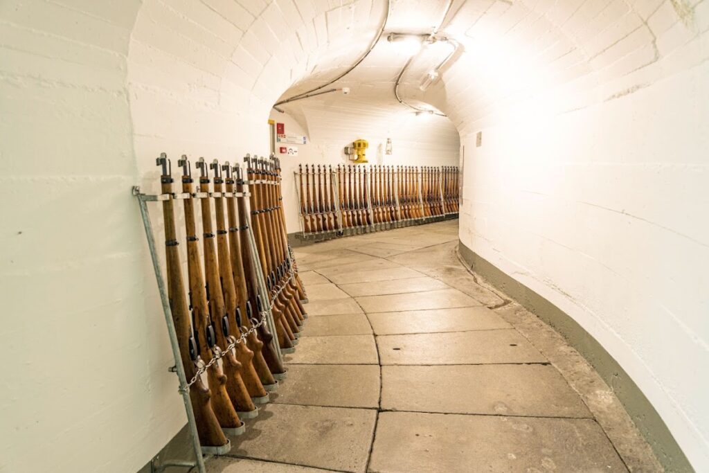 Festung Crestawald: A Swiss Alpine Artillery Fortress 1 Festung Crestawald