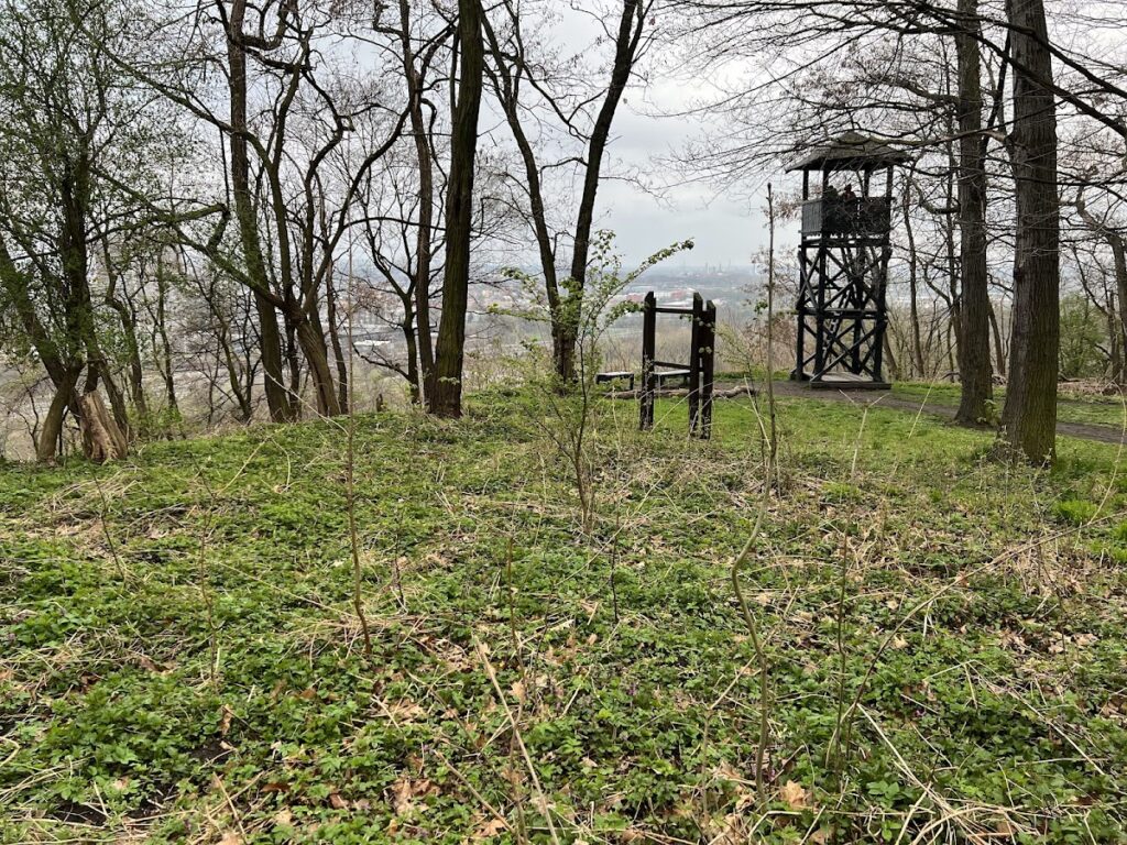 Landek Castle: A Medieval Border Fortress in Czechia 5 Landek Castle