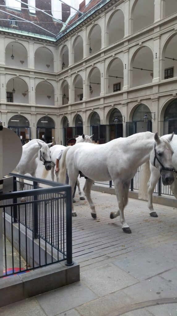 Stallburg: A Renaissance Building and Imperial Stable in Vienna 3 Stallburg