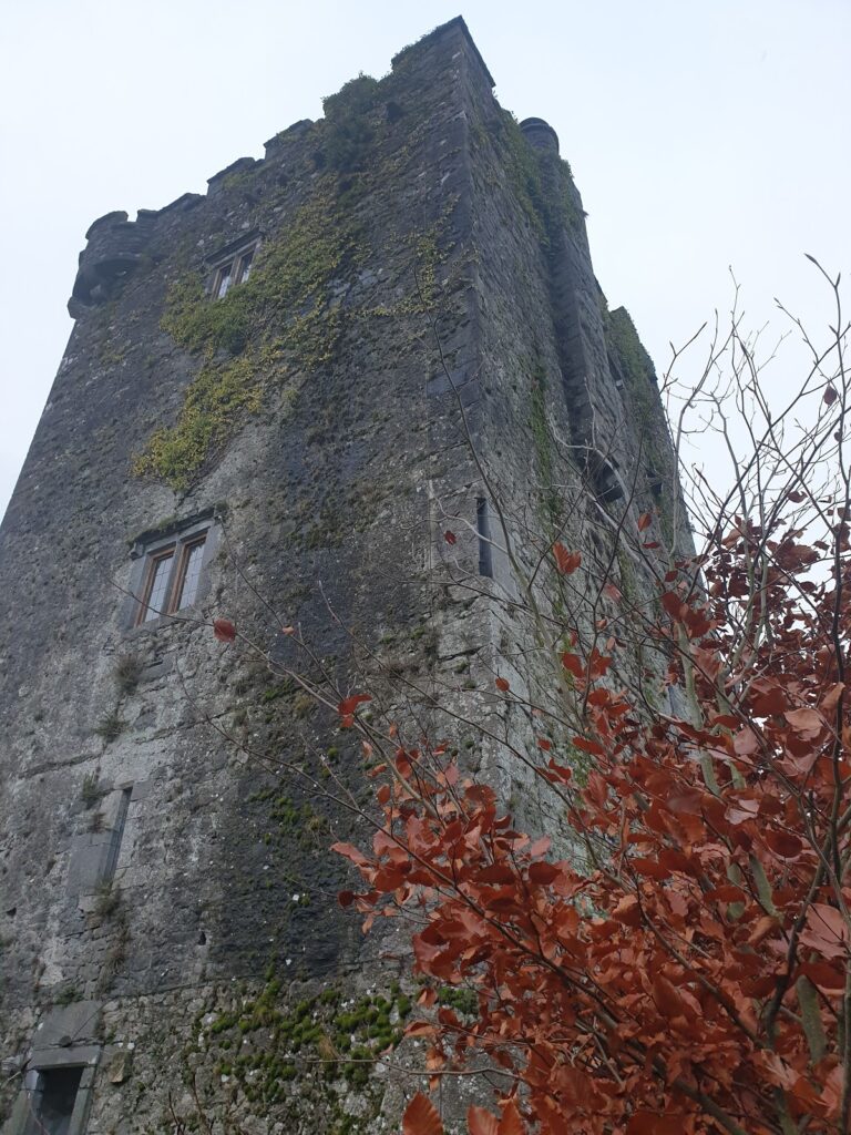 Ballybur Castle: A Sixteenth-Century Fortified Tower in Ireland 3 Ballybur Castle
