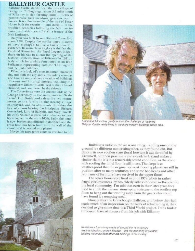 Ballybur Castle: A Sixteenth-Century Fortified Tower in Ireland 4 Ballybur Castle