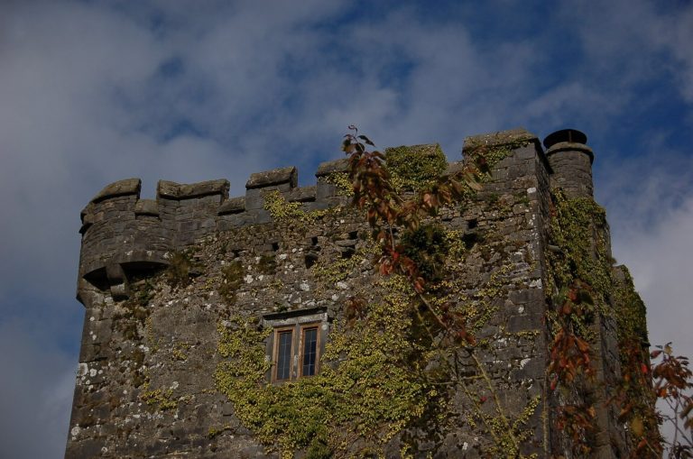 Ballybur Castle: A Sixteenth-Century Fortified Tower in Ireland