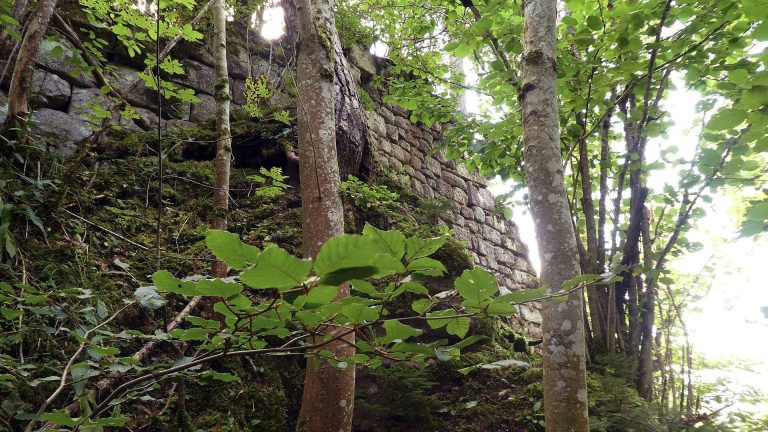 Ruine Ramstein: Medieval Castle Ruins near Schramberg, Germany