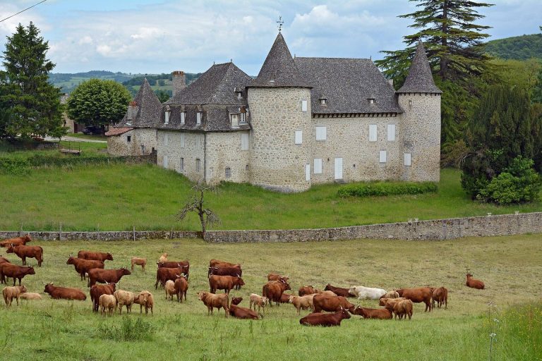 Château d’Entraygues (Cantal): A Seigniorial Residence in Boisset, France
