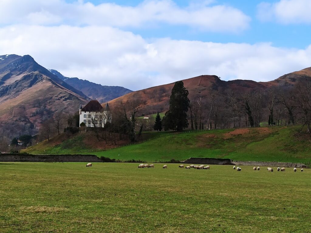 Château d'Etchaux: Seat of the Viscounts of Baigorri 2 Château d'Etchaux