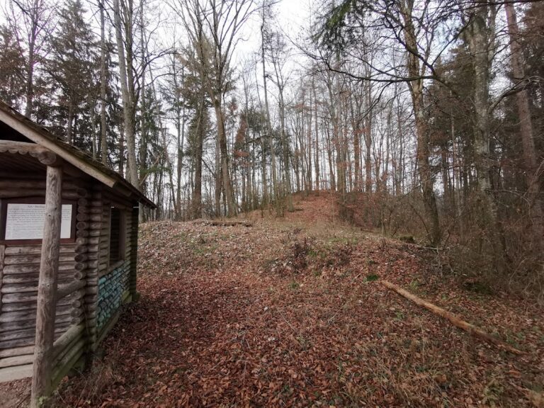Burgrest Alt-Heiligenberg: Medieval Castle Ruins in Germany