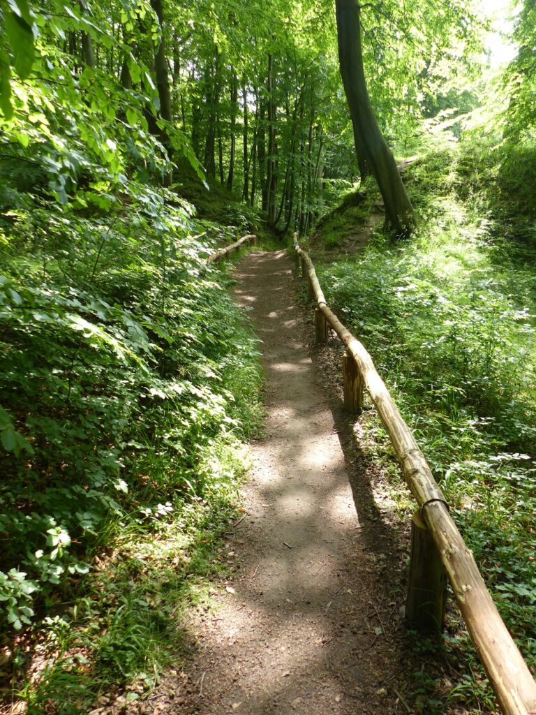 Herthaburg: A Slavic-Period Hillfort in Germany 2 Herthaburg