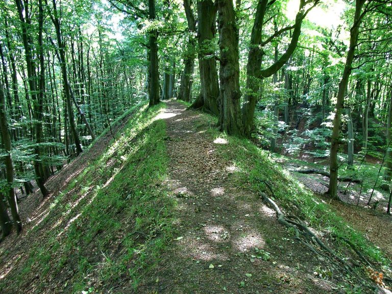 Herthaburg: A Slavic-Period Hillfort in Germany