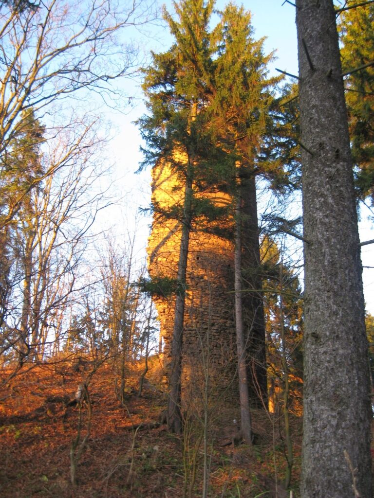 Castle ruins in Czarny Bór