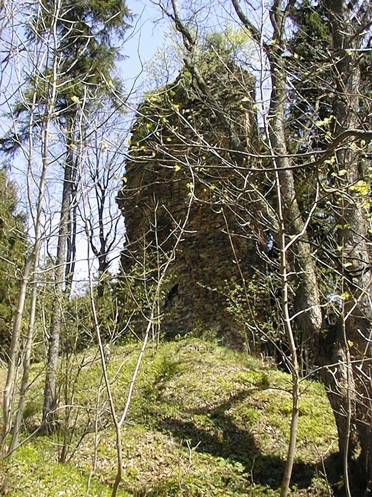 Castle Ruins in Czarny Bór: A Gothic Route Fortress in Poland