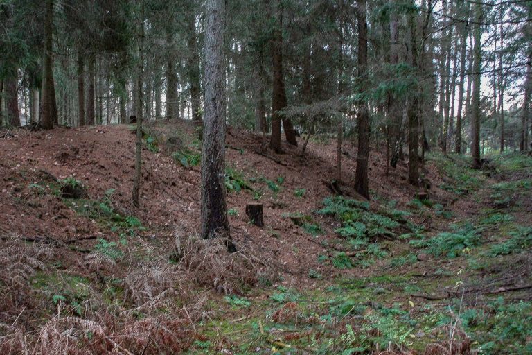 Brunsburg: An Early Medieval Rampart Fortification in Germany