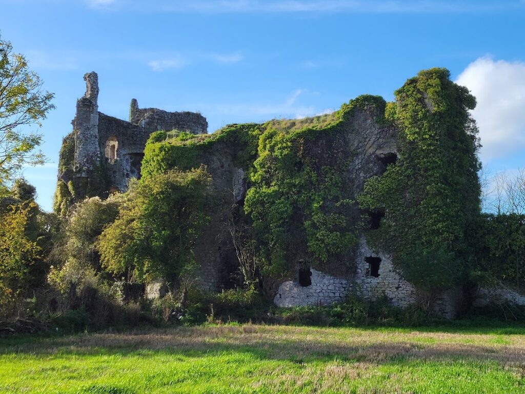 Lea Castle: A Medieval Fortress in County Laois, Ireland 1 Lea Castle