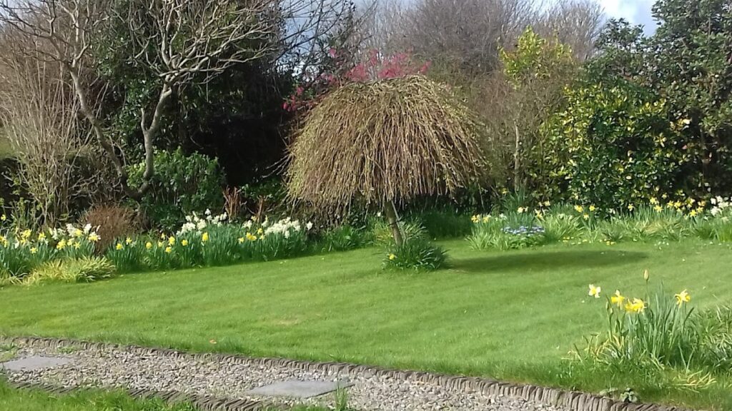 Greenmount Motte: A Norman Motte-and-Bailey Castle in Ireland 1 Greenmount Motte