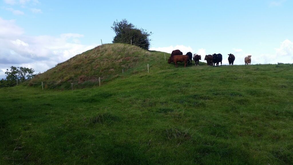 Greenmount Motte: A Norman Motte-and-Bailey Castle in Ireland 2 Greenmount Motte