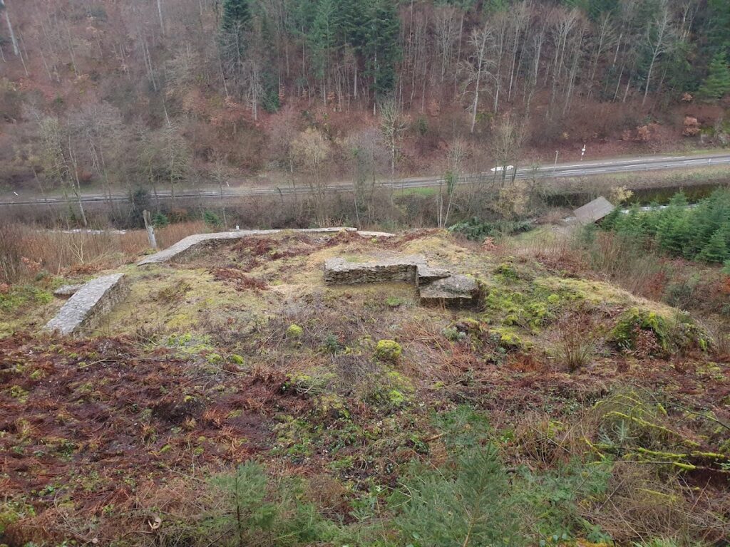 Ruine Birchiburg: A Medieval Burgher Hill Castle in Germany 1 Ruine Birchiburg