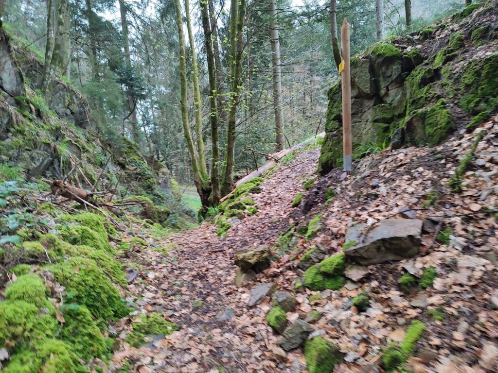 Ruine Birchiburg: A Medieval Burgher Hill Castle in Germany 2 Ruine Birchiburg