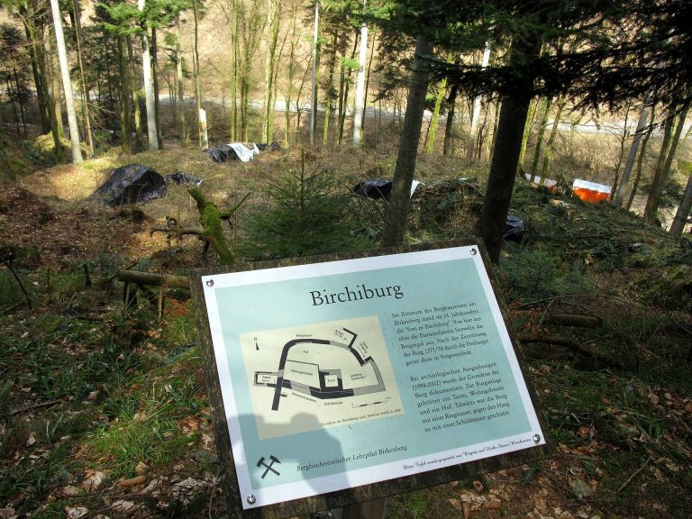 Ruine Birchiburg: A Medieval Burgher Hill Castle in Germany