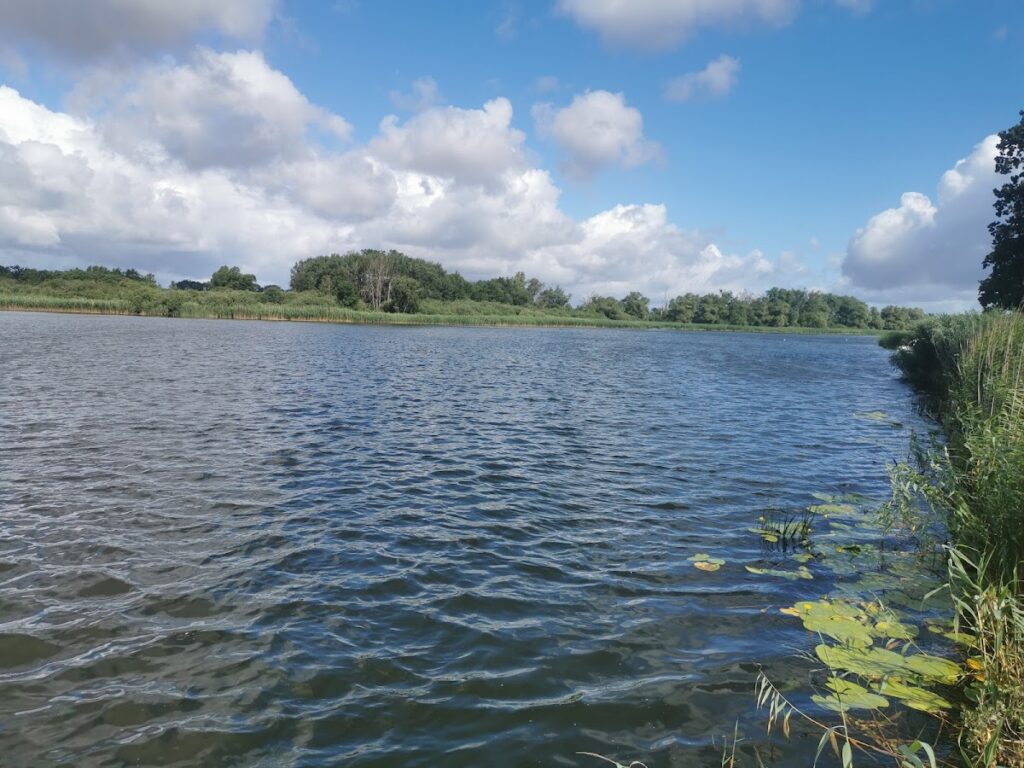 Burgwallinsel