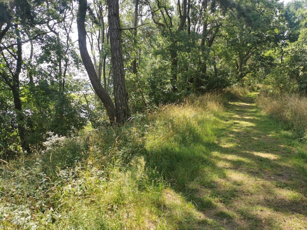 Burgwallinsel