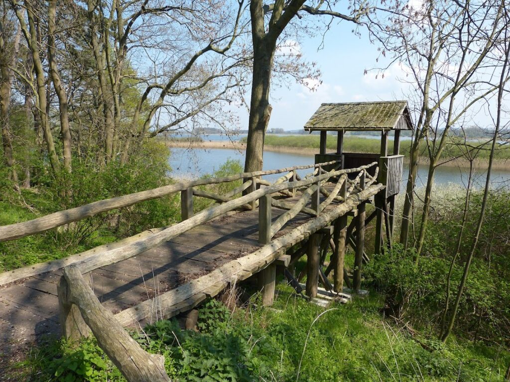 Burgwallinsel