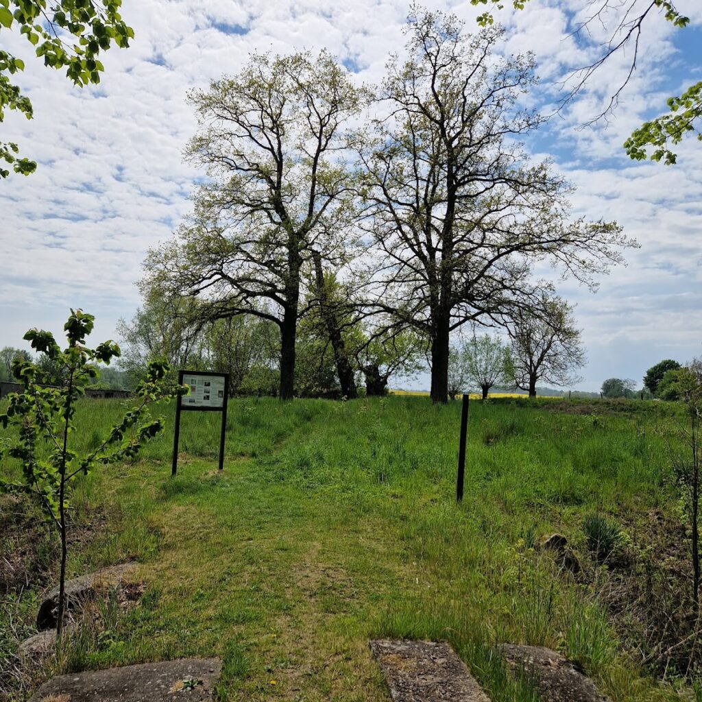 Burg Arpshagen: A Former Lowland Castle Complex in Germany 1 Burg Arpshagen