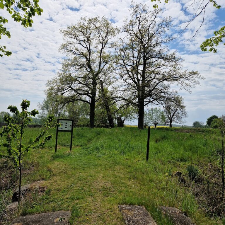 Burg Arpshagen: A medieval lowland castle near Klütz, Germany