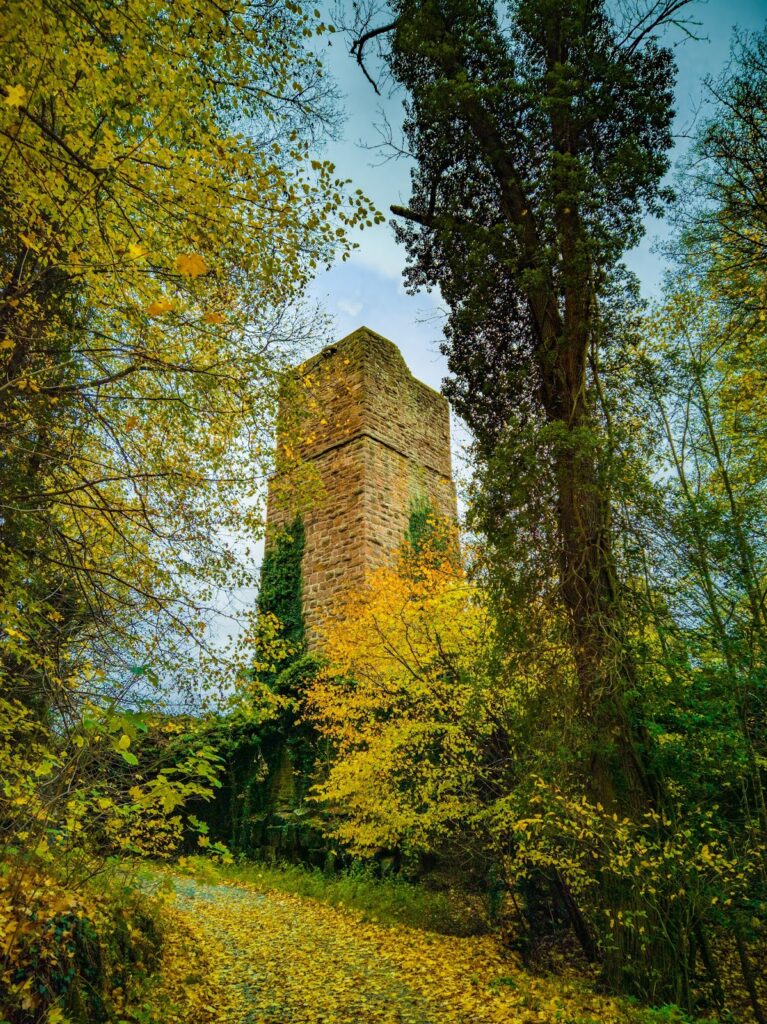Burg Liebeneck (Pforzheim): A Medieval Castle Guarding the Würm River 2 Burg Liebeneck (Pforzheim)