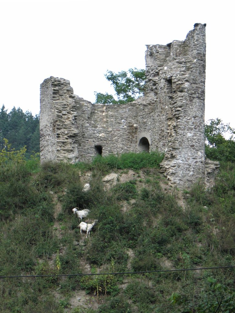 Lauksburg: A Medieval Hilltop Castle Ruin near Lorch, Germany