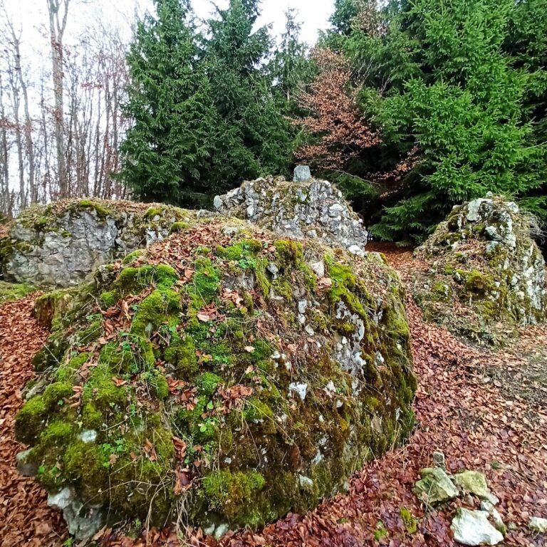 Burgrest Neuwaldsee: A Medieval Tower-Castle Ruin in Germany
