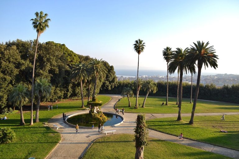 Palace of Capodimonte: A Bourbon Royal Residence and Museum in Naples