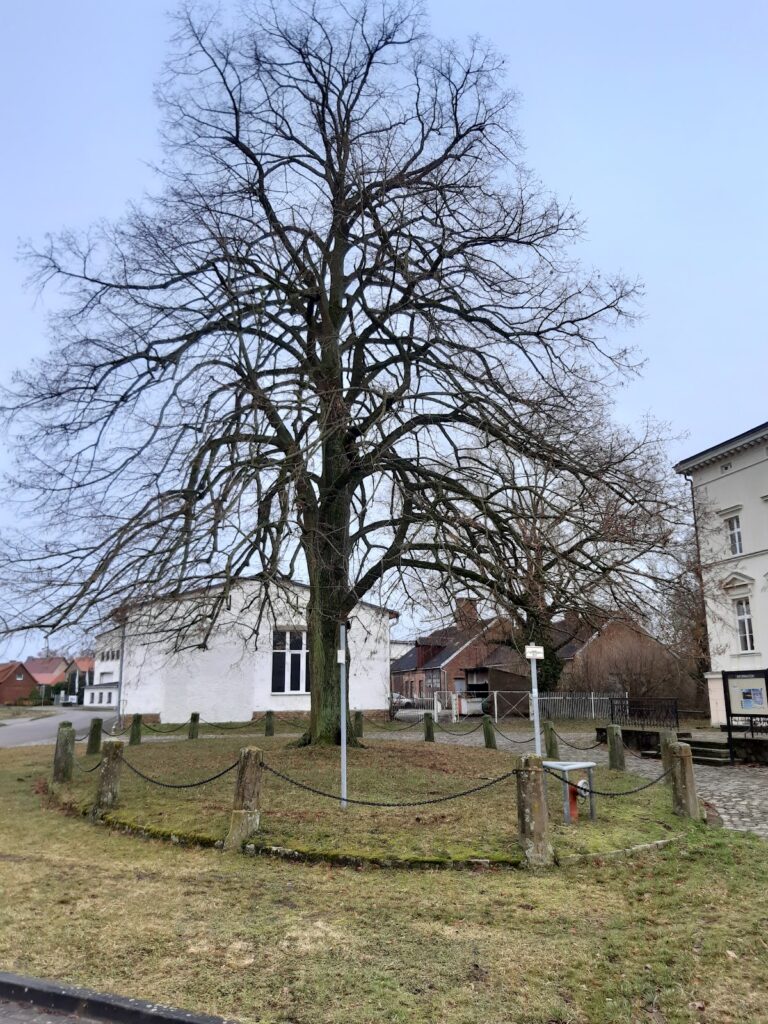 Schloss Kunrau: A Manor House and Agricultural Estate in Germany 3 Schloss Kunrau