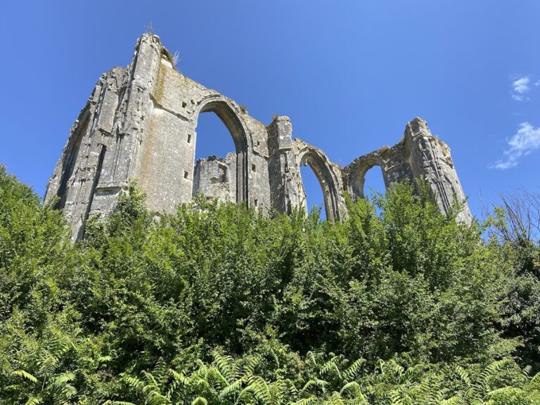 Collégiale des Roches-Tranchelion: A Collegiate Church and Castle Ruins in France