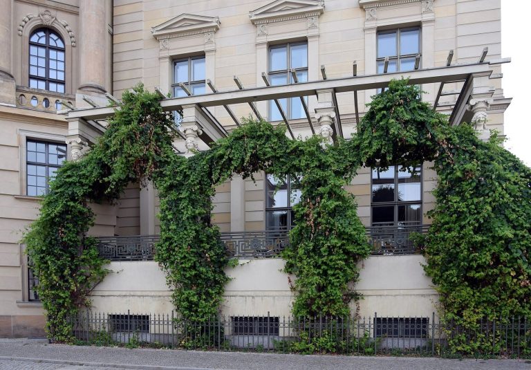 Altes Palais: A Historic Palace and University Building in Berlin