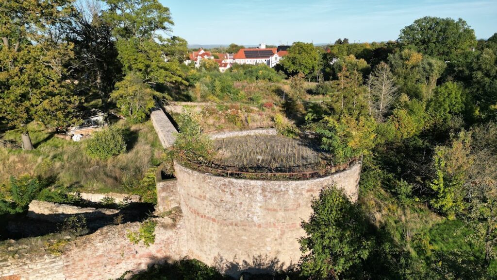 Schloss Babenhausen: A Medieval Castle and Renaissance Residence 2 Schloss Babenhausen