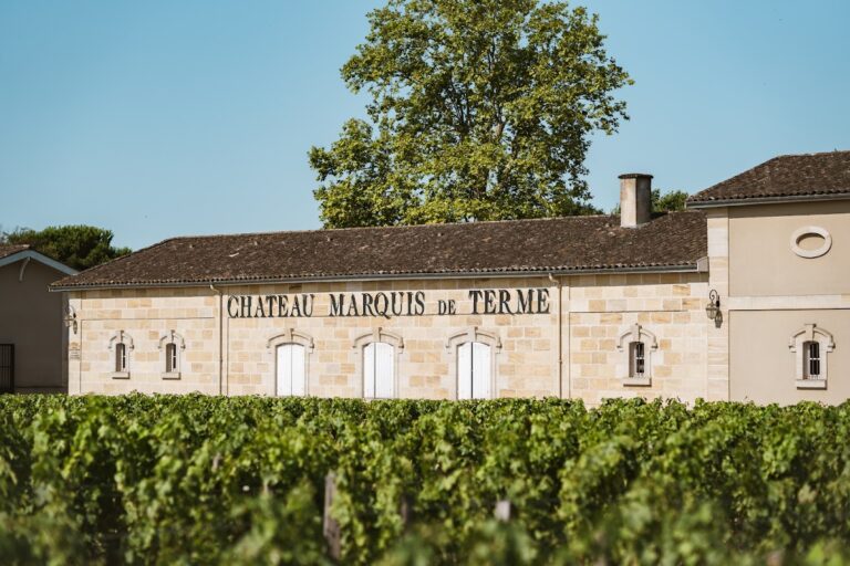 Château Marquis de Terme: A Classified Fourth Growth Wine Estate in Margaux