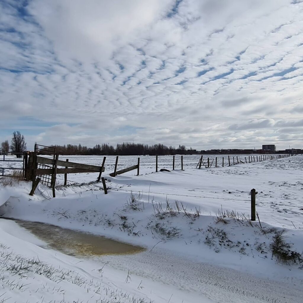Oud Haerlem Castle: A Medieval Fortress near Heemskerk 1 Oud Haerlem Castle
